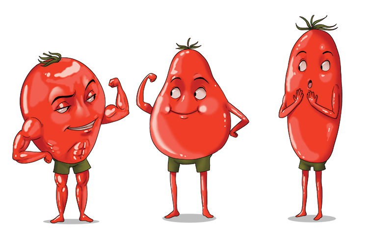 Some of the tomatoes are different types (somatotype), and you can tell by the different body shapes.